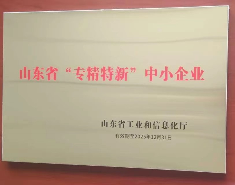  山东省 专精特新 企业